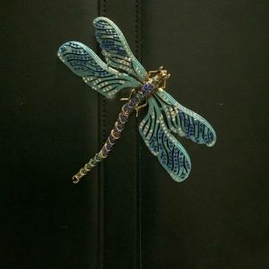 Large dragon fly brooch